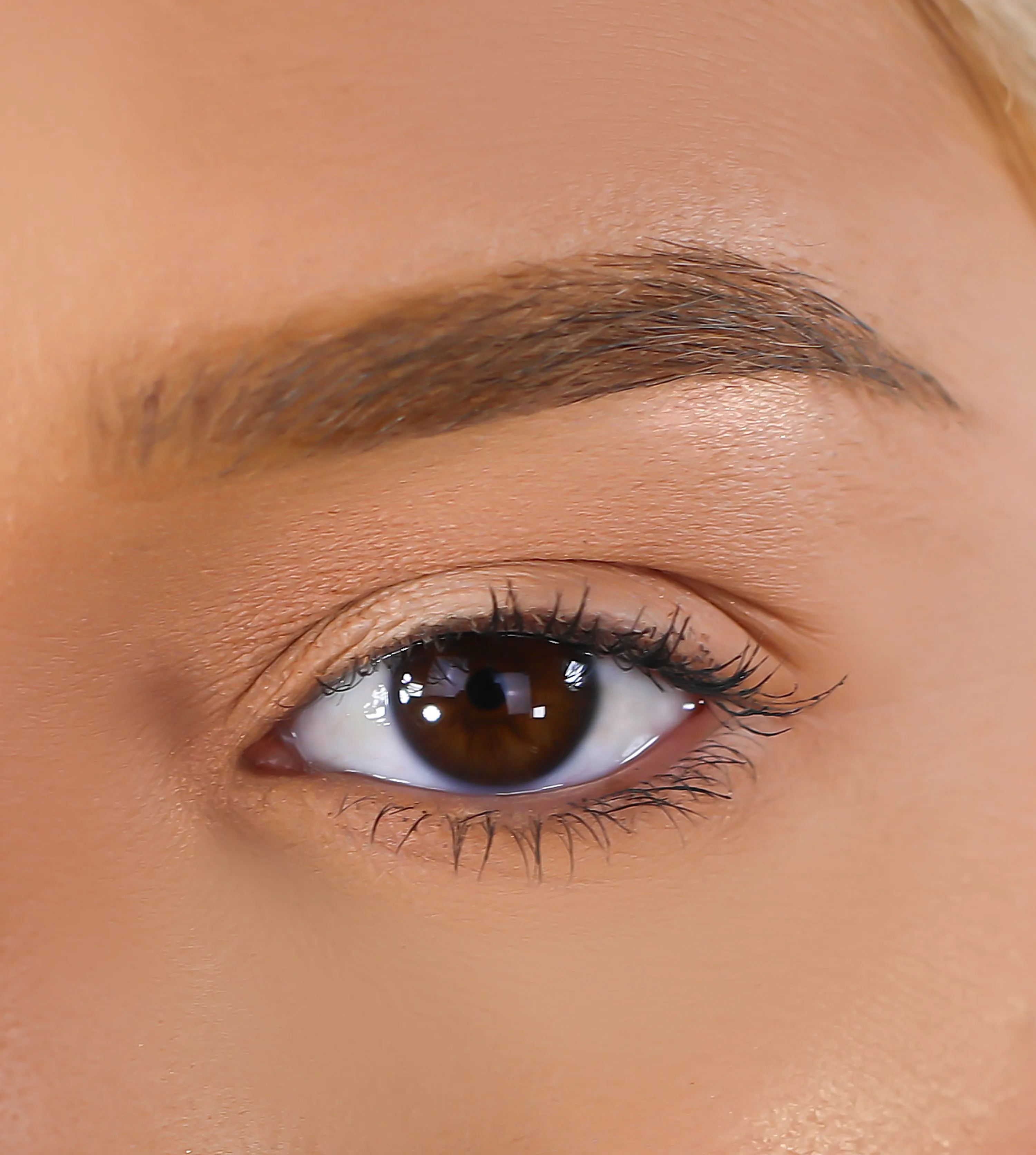 3D Mink Eyelashes - Que