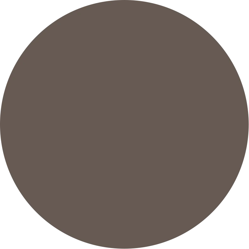 Dual Brow Perfect Dark