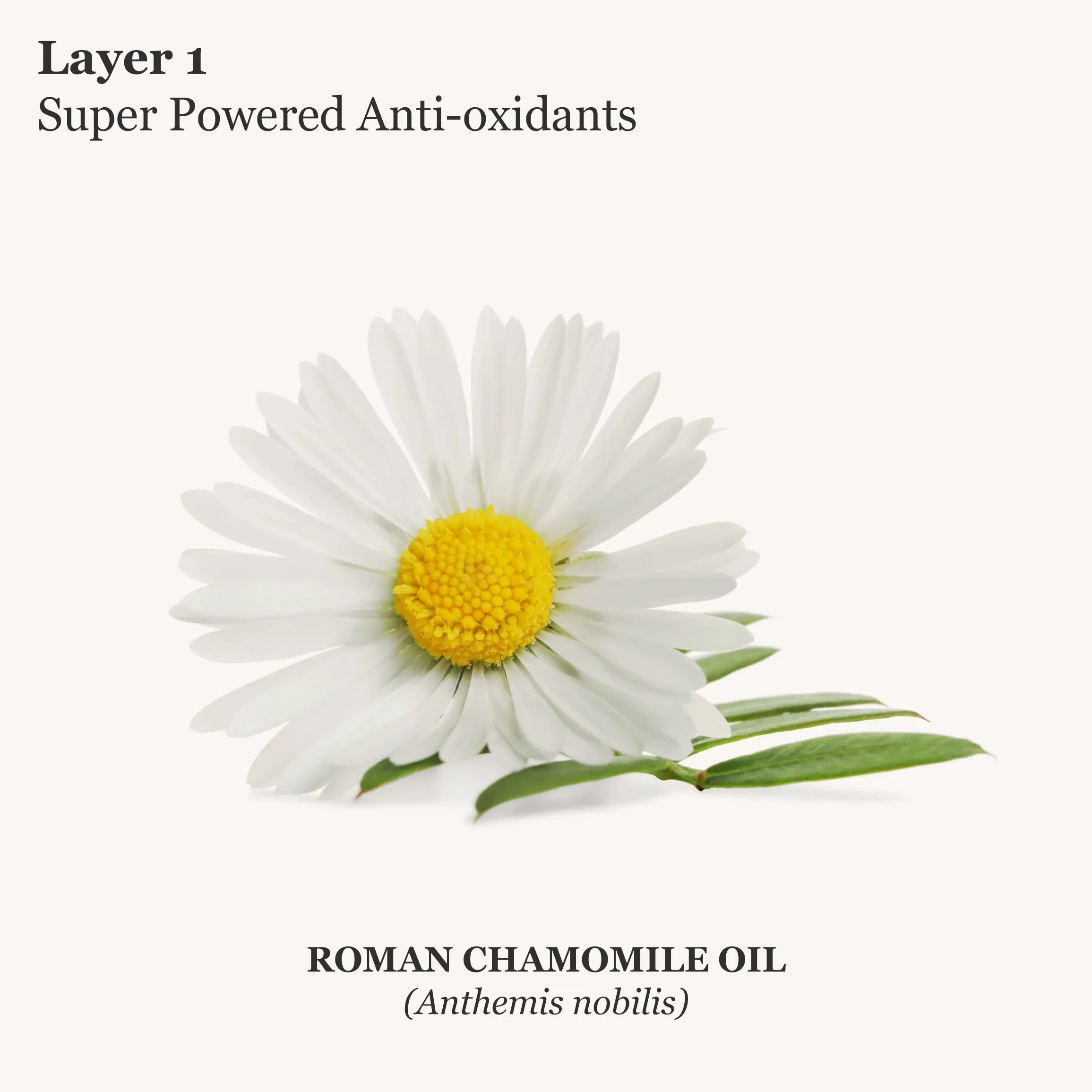 Essential Gentle Cleanser - Travel Size