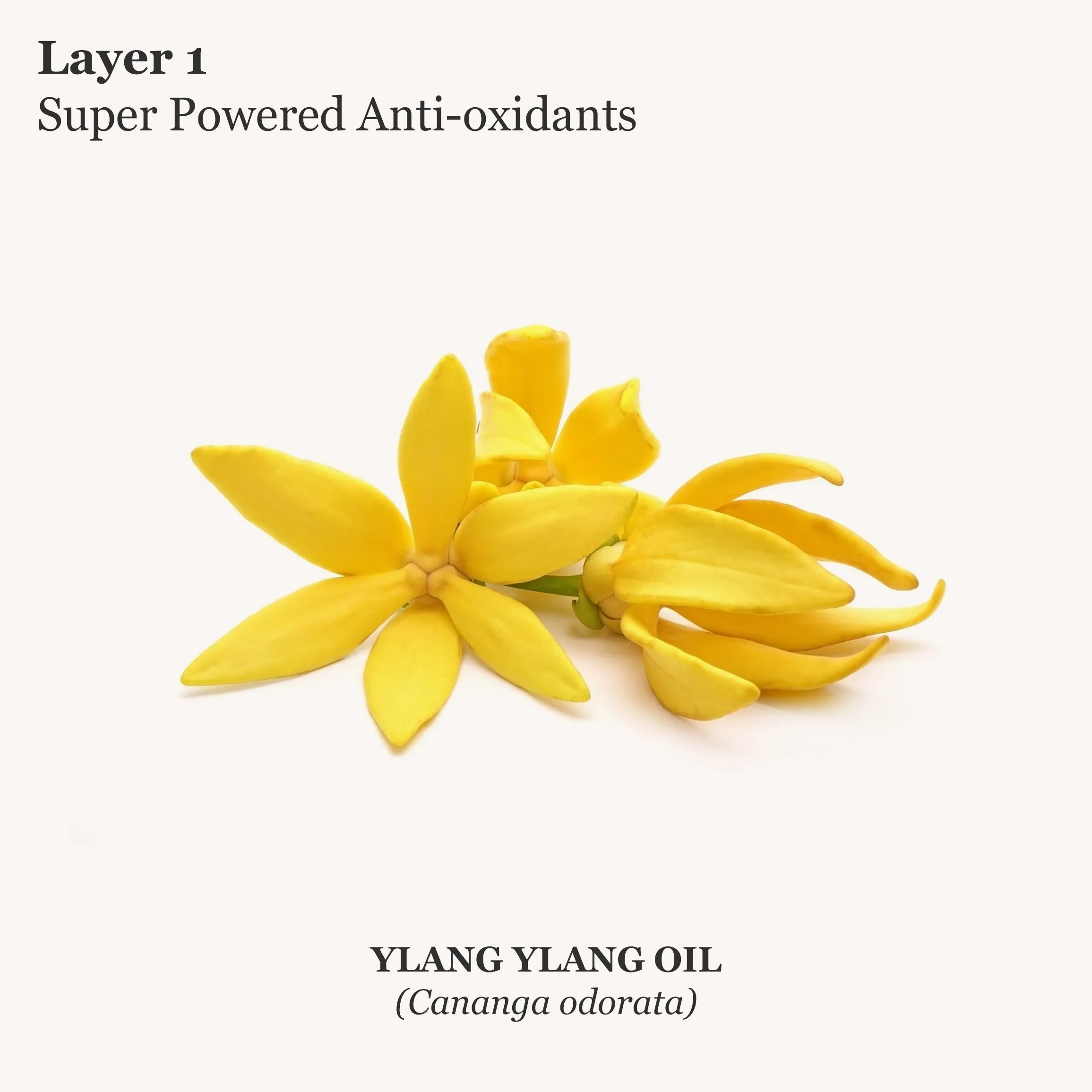 Essential Gentle Cleanser - Travel Size