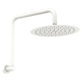 Fienza Kaya Gooseneck Shower Arm Set Matte White