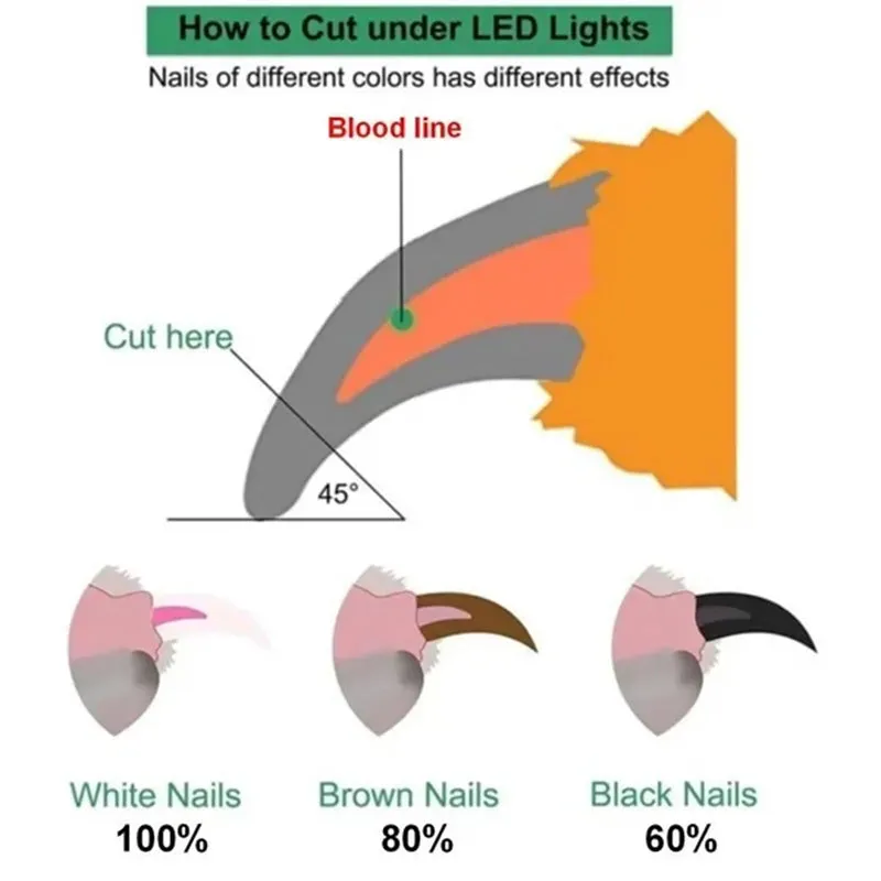 LED Light Pet Nail Clippers for Dogs and Cats