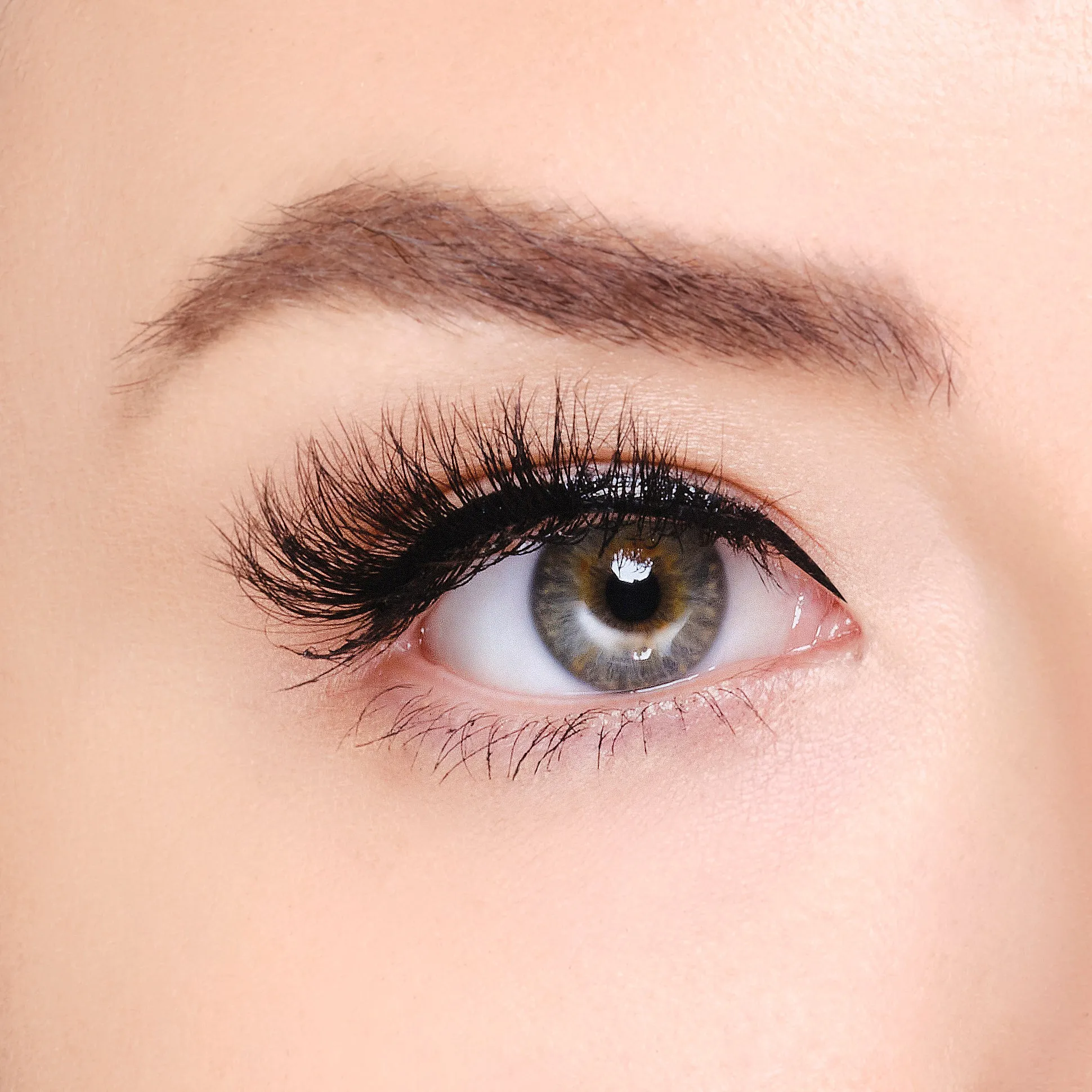 Mink Eyelashes - Worthy