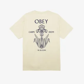 Obey Iris In Bloom T-Shirt - Cream