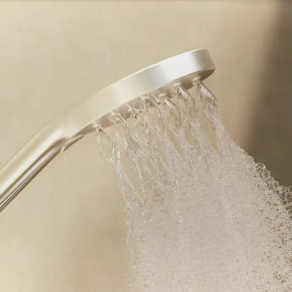 Phoenix Tapware Ormond Hand Shower Chrome