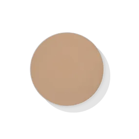 Wet & Dry Foundation Godet Pan Refill - #41