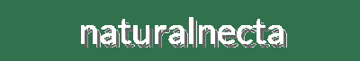 Organic Beauty Solutions